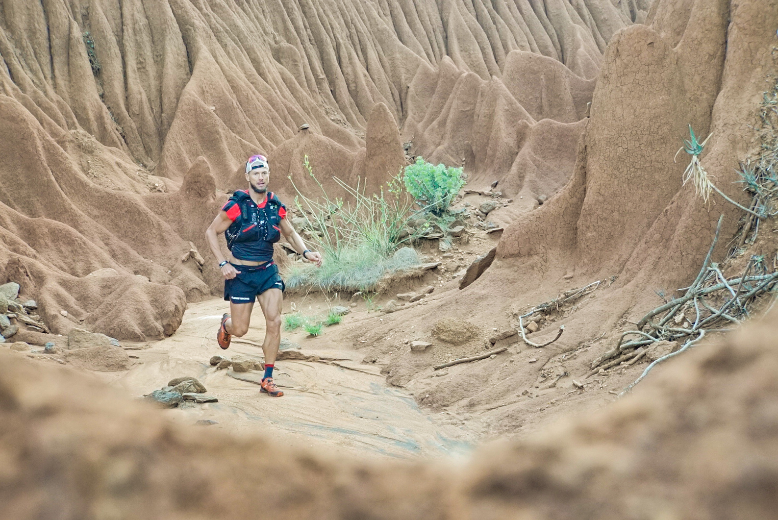 For Rangers Ultra 2019 Race Report - Stage Four - Beyond the Ultimate